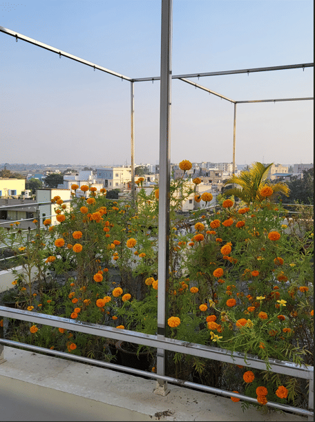 NIF Global Bhubaneswar hostel photo 8